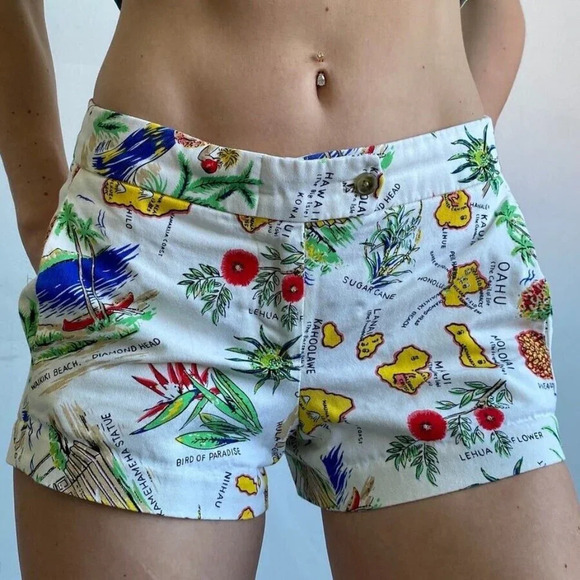 J. Crew Factory Hawaii Print City Fit Chino Shorts Size 2 Fun Island Geography - Picture 1 of 4
